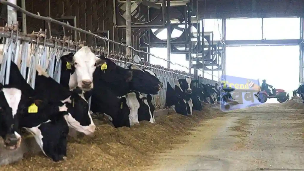 How to apply Dairy Farm Loan 2024
