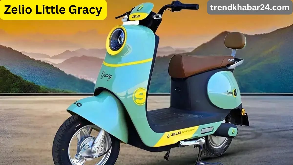 Zelio Little Gracy