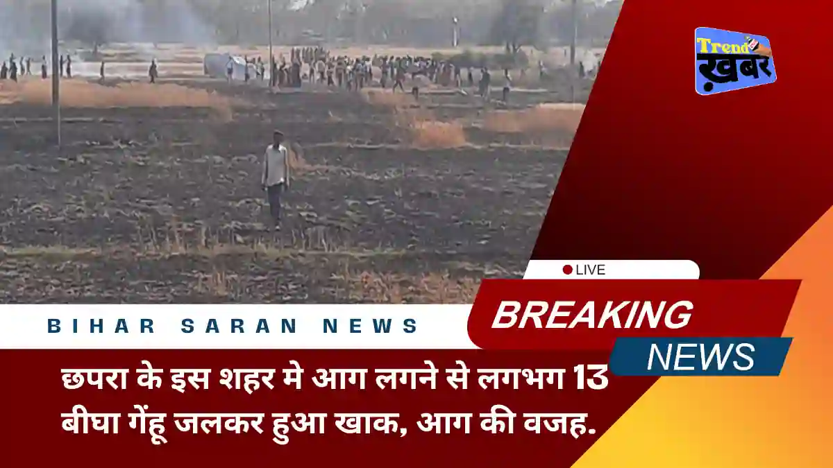 huge-fire-broke-out-in-13-bigha-wheat-crop-farmers-started-crying-after-seeing-it-in-chhapra-bihar